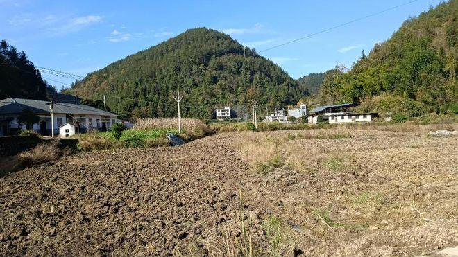 湖北咸丰：沃土冬耕正当时，烟田孕育新希望