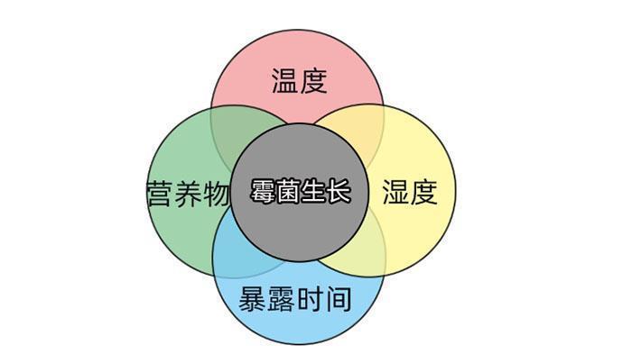汽车空调有异味千万别乱洗记住这三个步骤比4S店省800元
