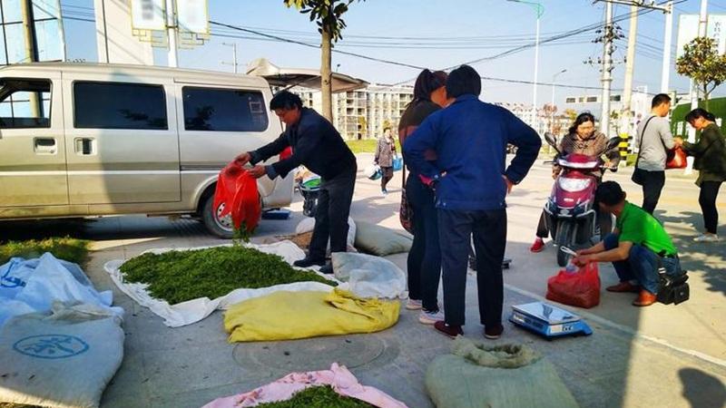 总有一种骗术适合你，就看你如何去选