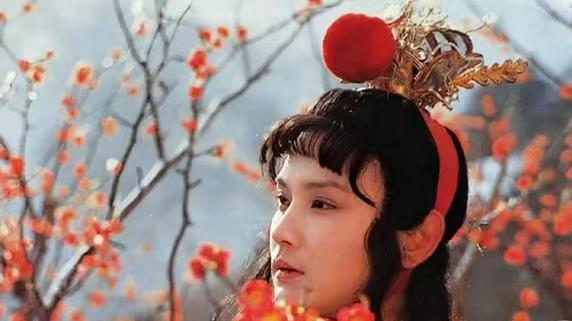 贾宝玉的“爱红”癖好：曹雪芹埋得最深的性别意识伏笔