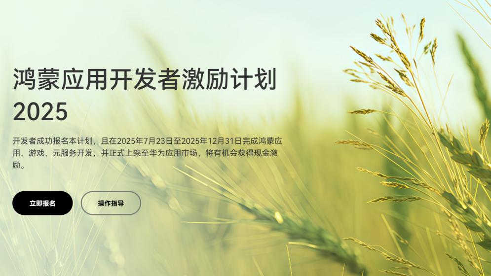 从拦截到“护航”：当鸿蒙拒绝了你的应用，可能是这些细节没达标