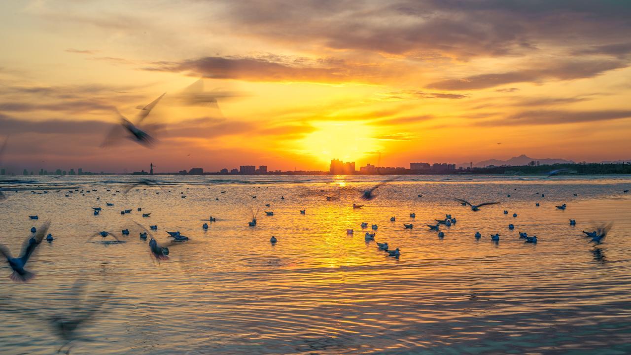 对领导一定要有的4个心眼子