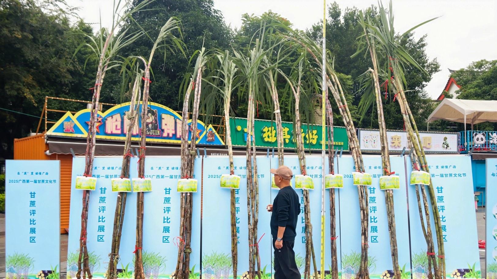 郭绪全：“甜蜜纽带”铸就千亿集群