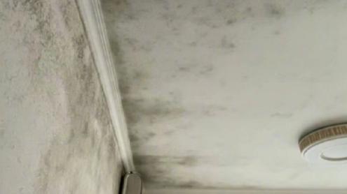 雅彩洁除霉专家：帮南方家庭把霉菌 “赶尽杀绝” 的清洁神器！