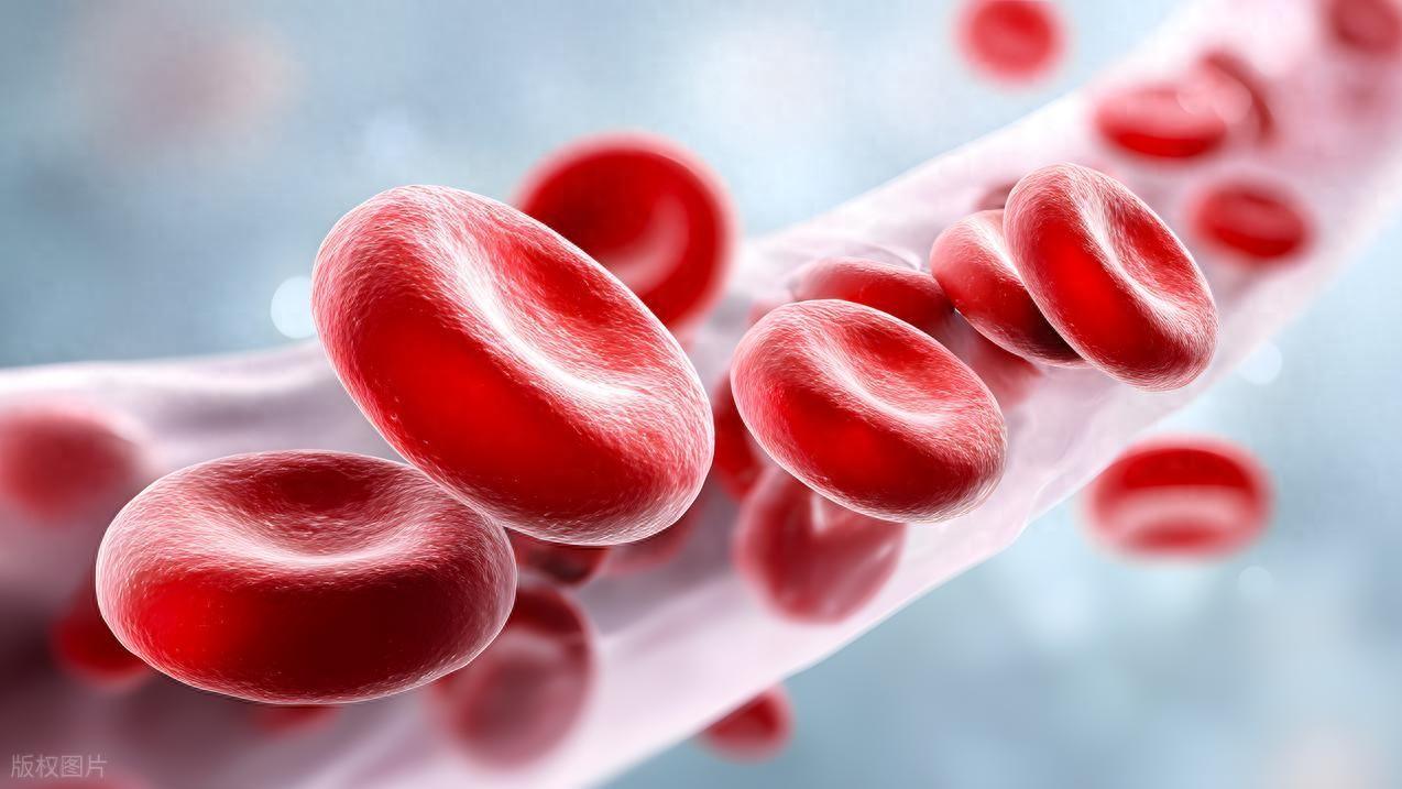 白细胞降低后容易升起来吗？试试这几个方法，温和升白不遭罪