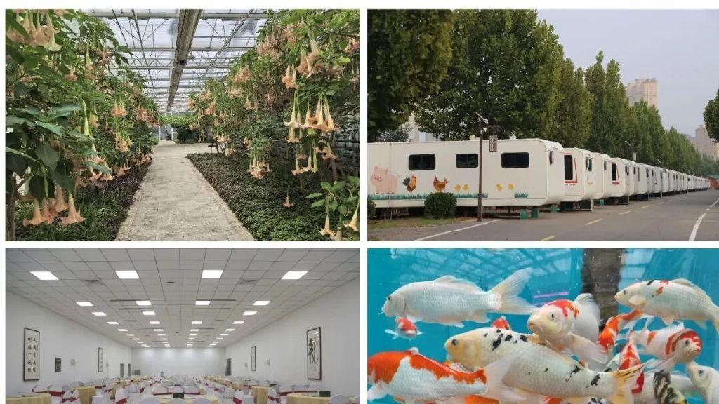 高质量发展看正定 网络大V助力乡村振兴——走进塔元庄·同福园