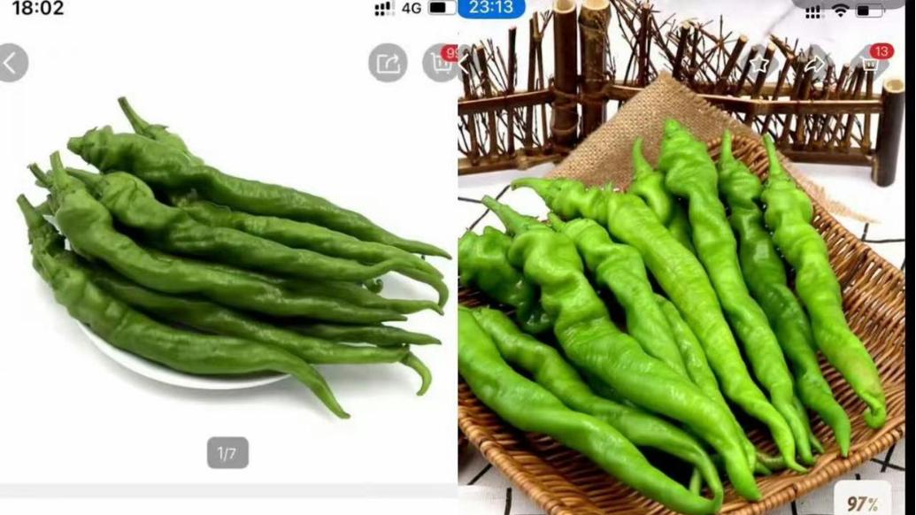 阿里高管履职山姆，因何引起会员恐慌？