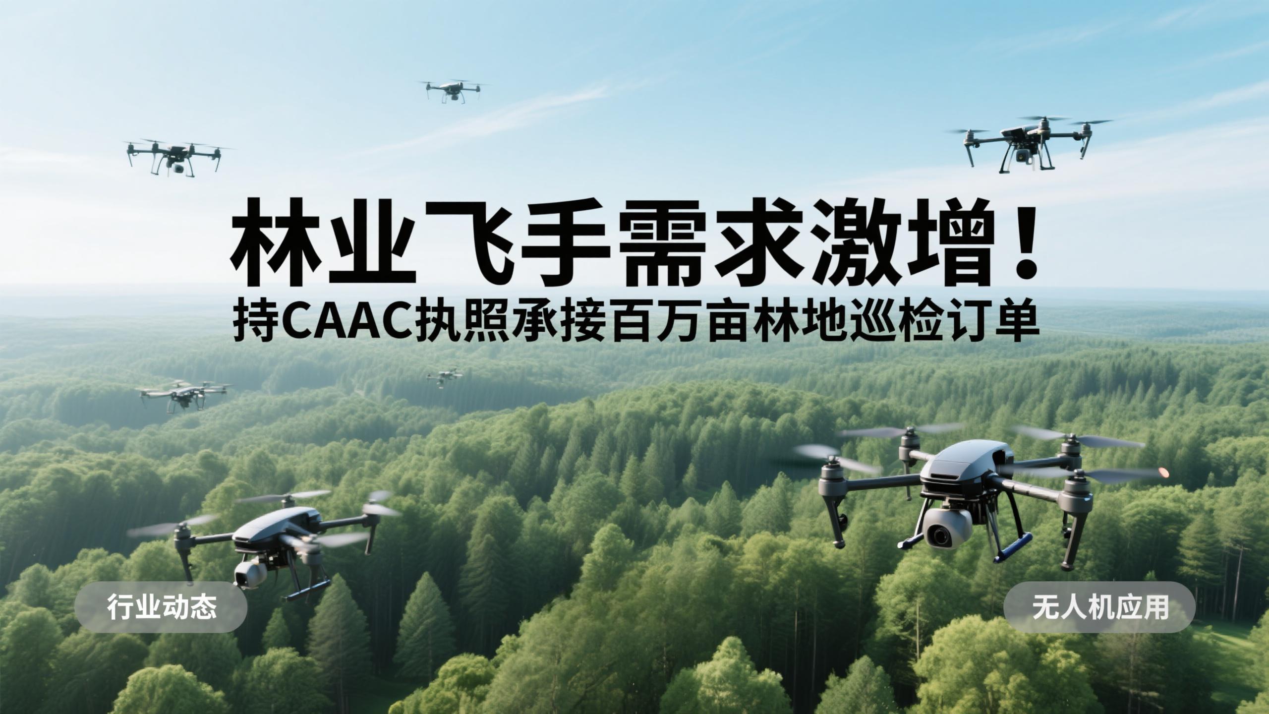 林业飞手需求激增！持CAAC执照承接百万亩林地巡检订单