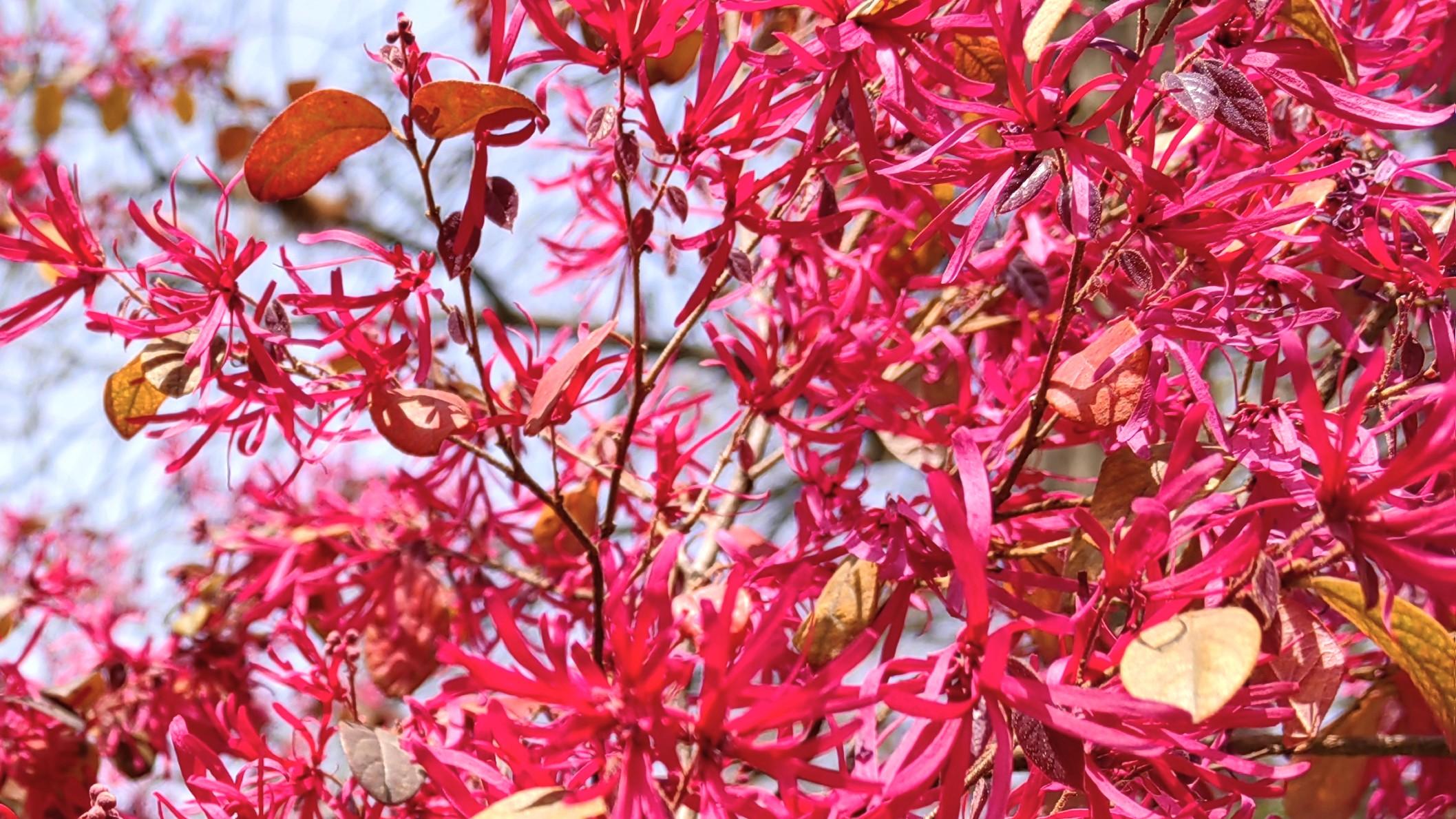 人在职场：时间的奥秘