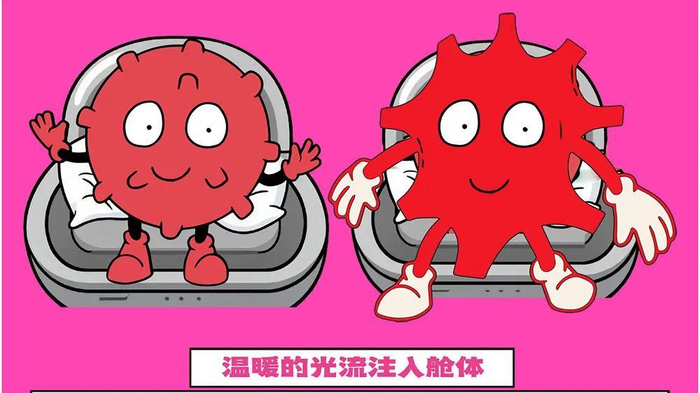 脐带血成长日记：免疫细胞的“抗癌特工队”日常