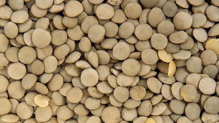 扁豆防虫浇水方案，育苗间苗精细化，藤架整齐结荚密