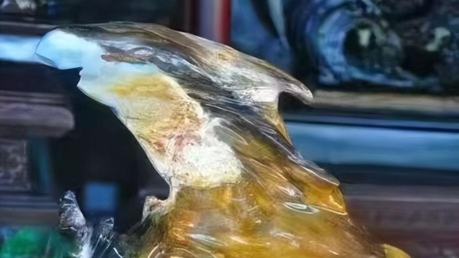 《玉石论坛61》央视付小明谈天然造型树化玉：金鸡报晓，天地尤物