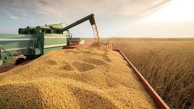 欧盟官员在巴西挑拨：中美都不靠谱，只有我们稳定