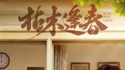 《枯木逢春》绝境重生、甜虐交织与反转不断