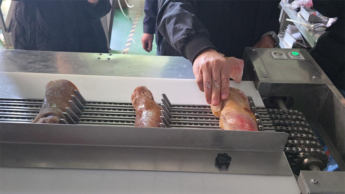 冻牛蹄切割“牛魔王”，多段锯锯骨机直省80%人工