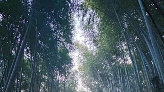 打折在唯品会买的冲锋衣，真实体验绝了