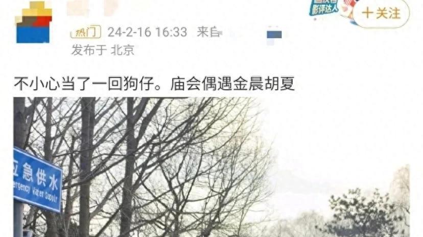胡夏金晨逛庙会，这是好事将近了？