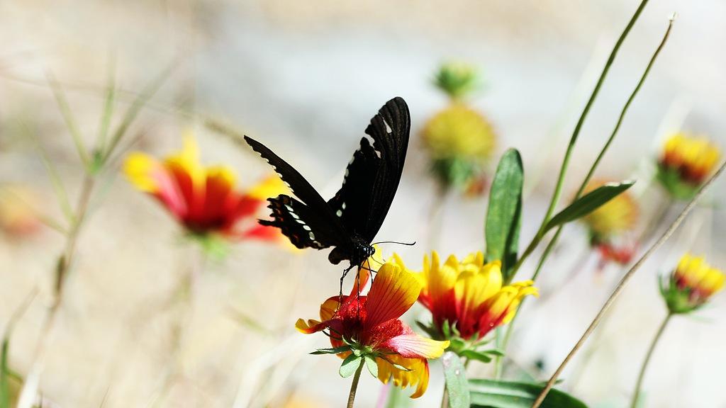他这报应，谁能救得了？