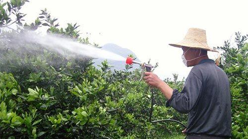 同样是叶面肥，氨基酸多肽和海藻凭啥不一样？种植高手必看