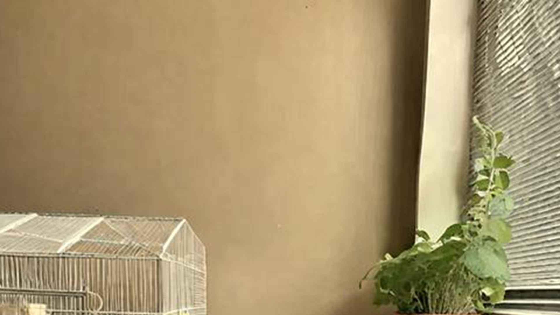 冬夏笼具更换，季度调整，南方养殖，仓鼠季节适应