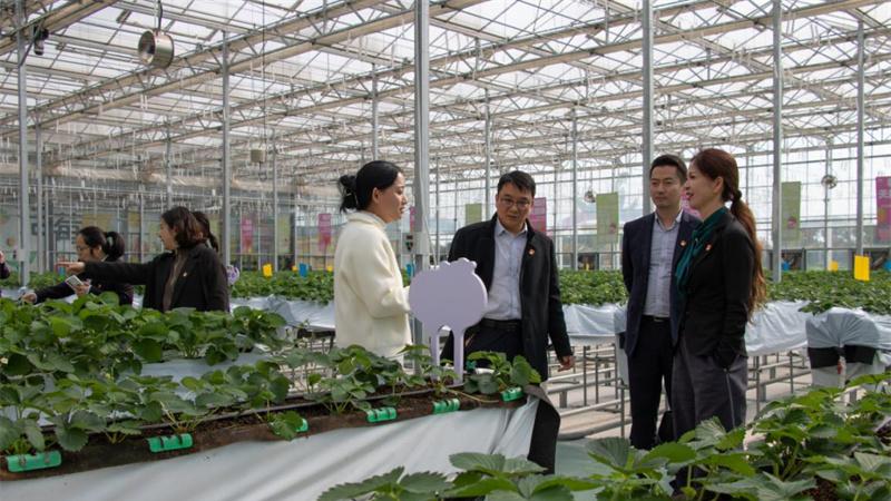 邮爱驿站架桥梁普惠金融润茶乡 邮储银行溧阳市支行全力赋能乡村振兴