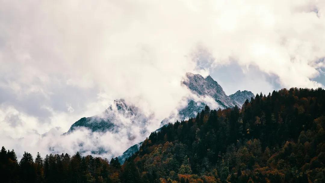 与人交往，少点内耗，多点自在