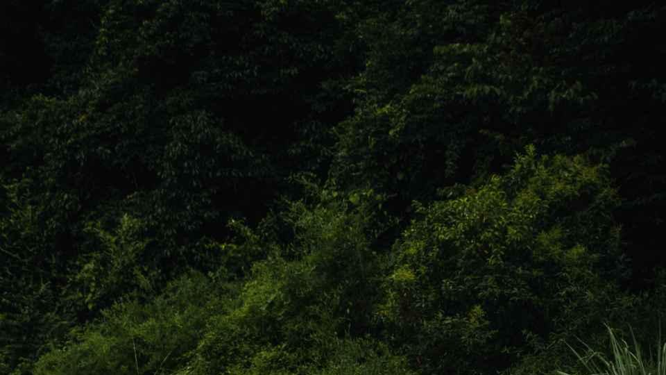 雷克萨斯SUV，豪华的不二之选！