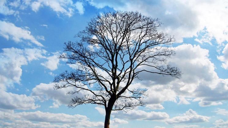 微小说：快递箱里的秘密