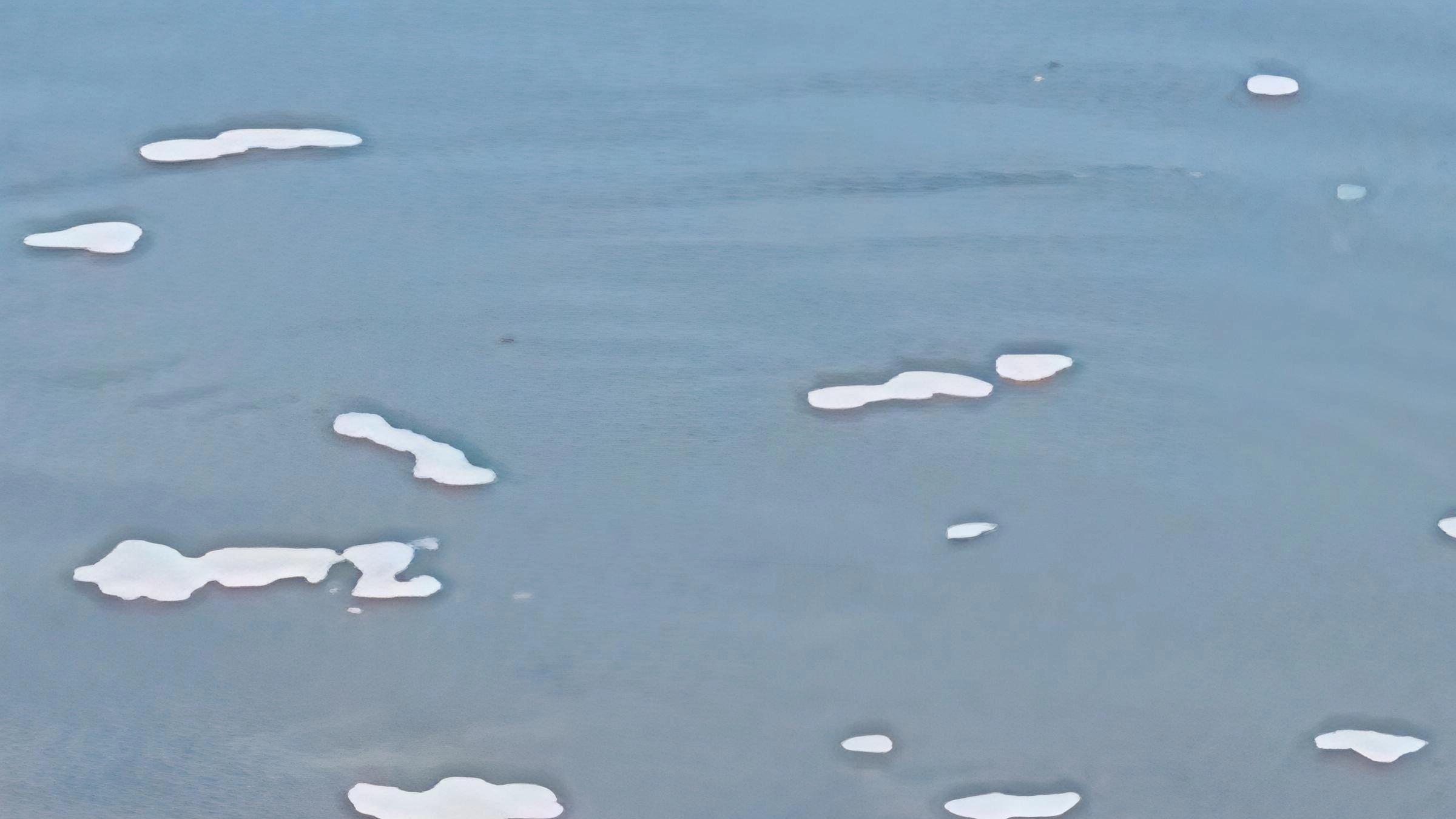 水虿蜷在石缝，清水抚过鹅卵石