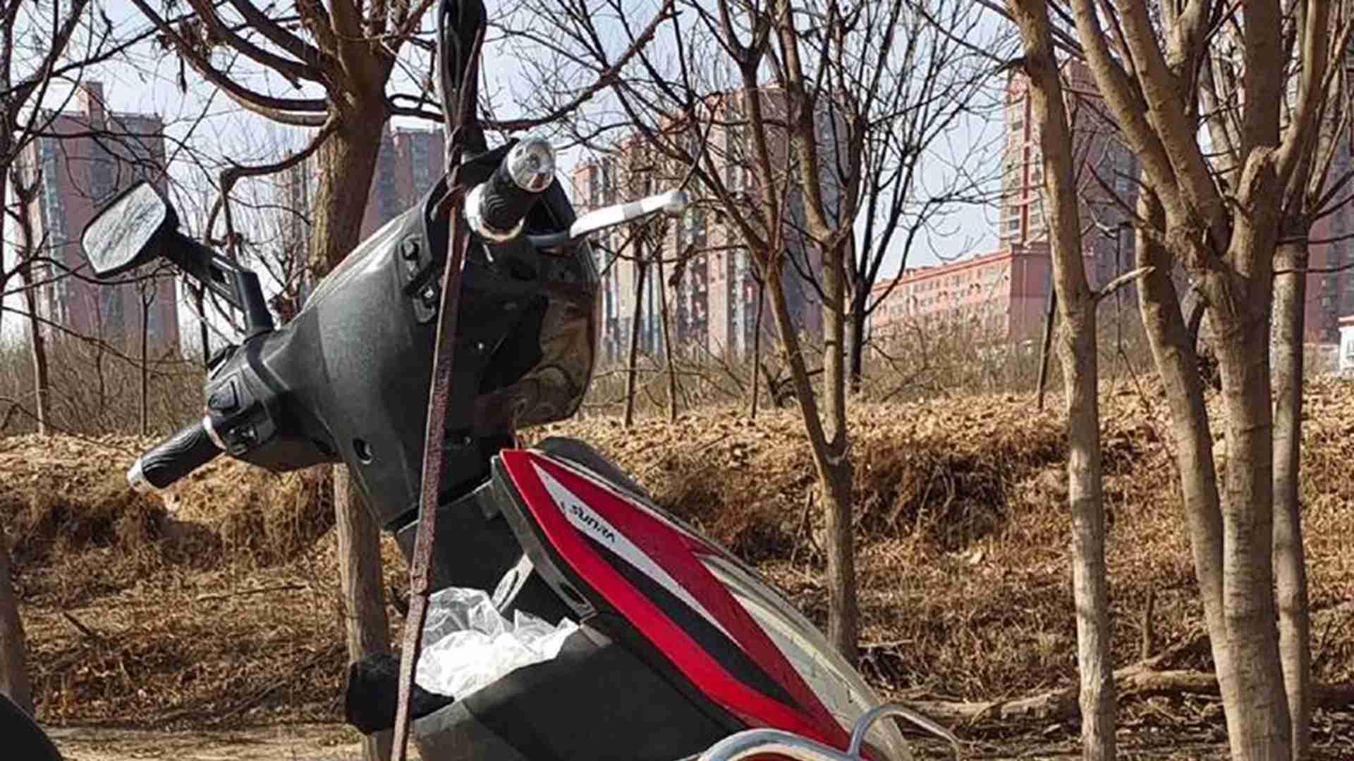 灵缇犬足垫护理，沙漠训练场防护方案，蜂蜡护足膏配方，裂缝处理要及时