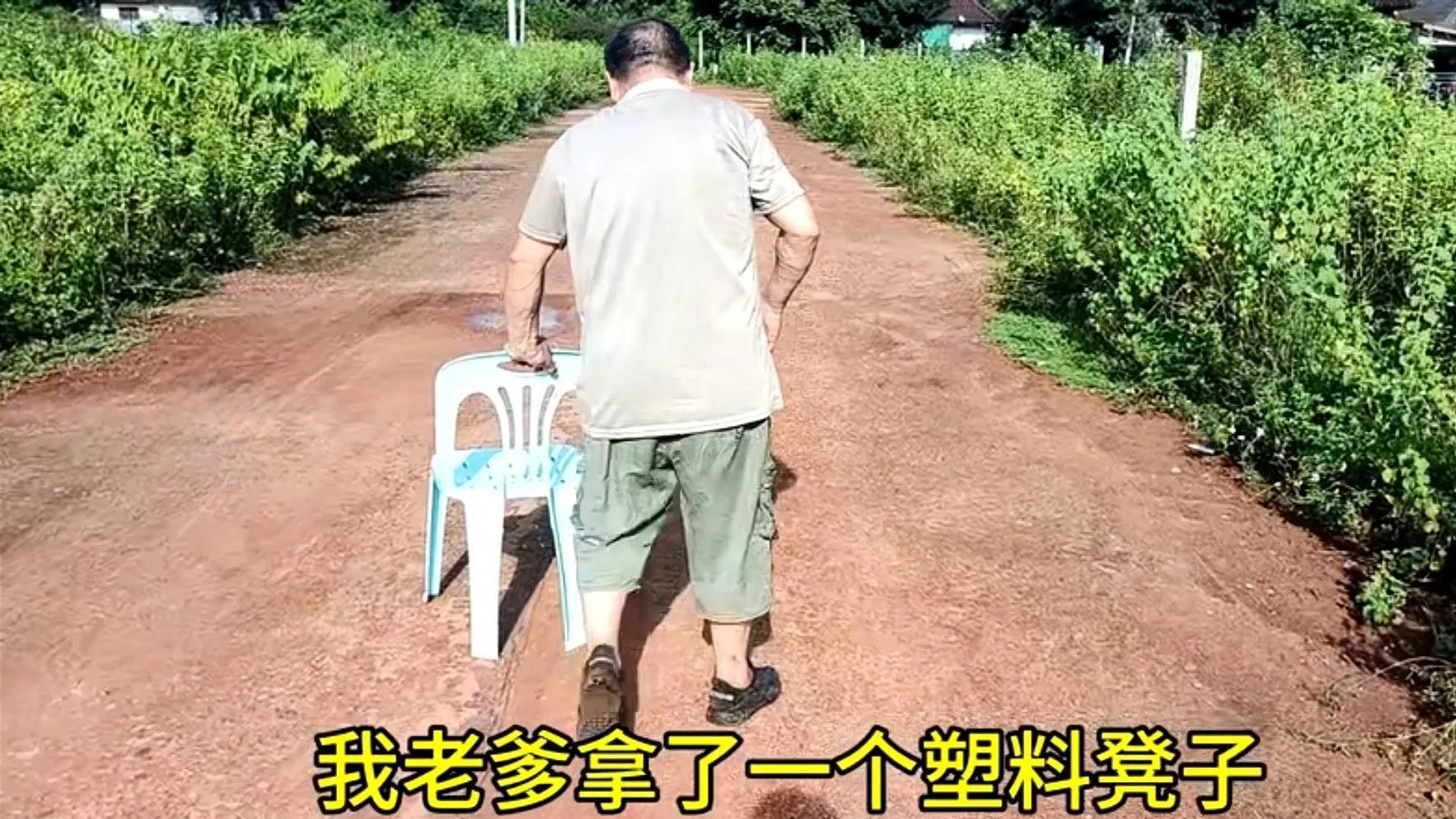 湖北男子携瘫痪父亲老挝求偶，结婚竟有附加条件：需当地生活三年！