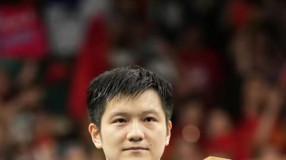 奥运冠军的“补考”之路：樊振东与他的2028奥运资格赛