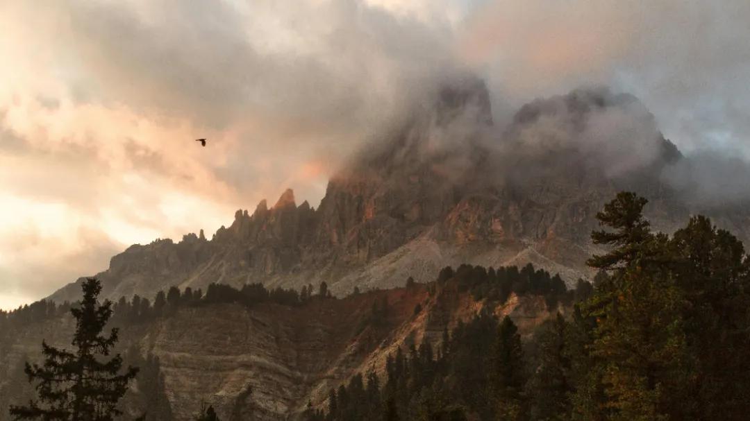 布衣天子的双面传奇：朱元璋的文治武功与历史困境 | 江园