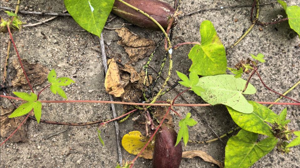 体制内干人事第一天，就见到了人性的黑暗