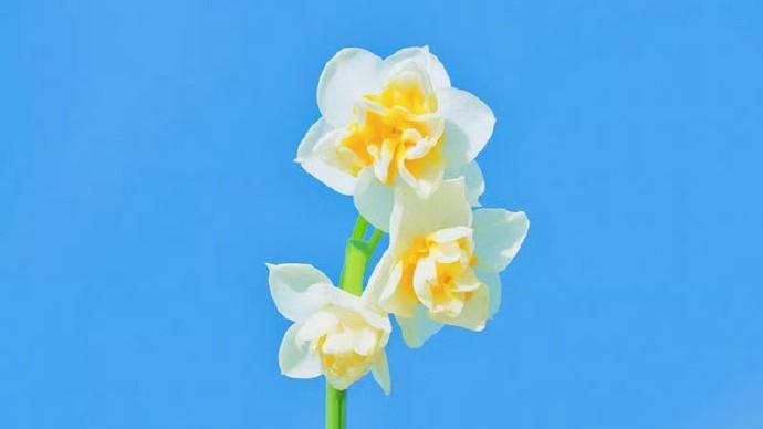 治愈你的冬天的小雪朋友圈说说，总有一句与你心有灵犀！