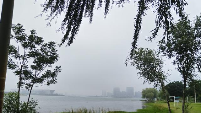 孩子休学又复学的坎，不是成绩退步后的逃避，而是背后高控的父母