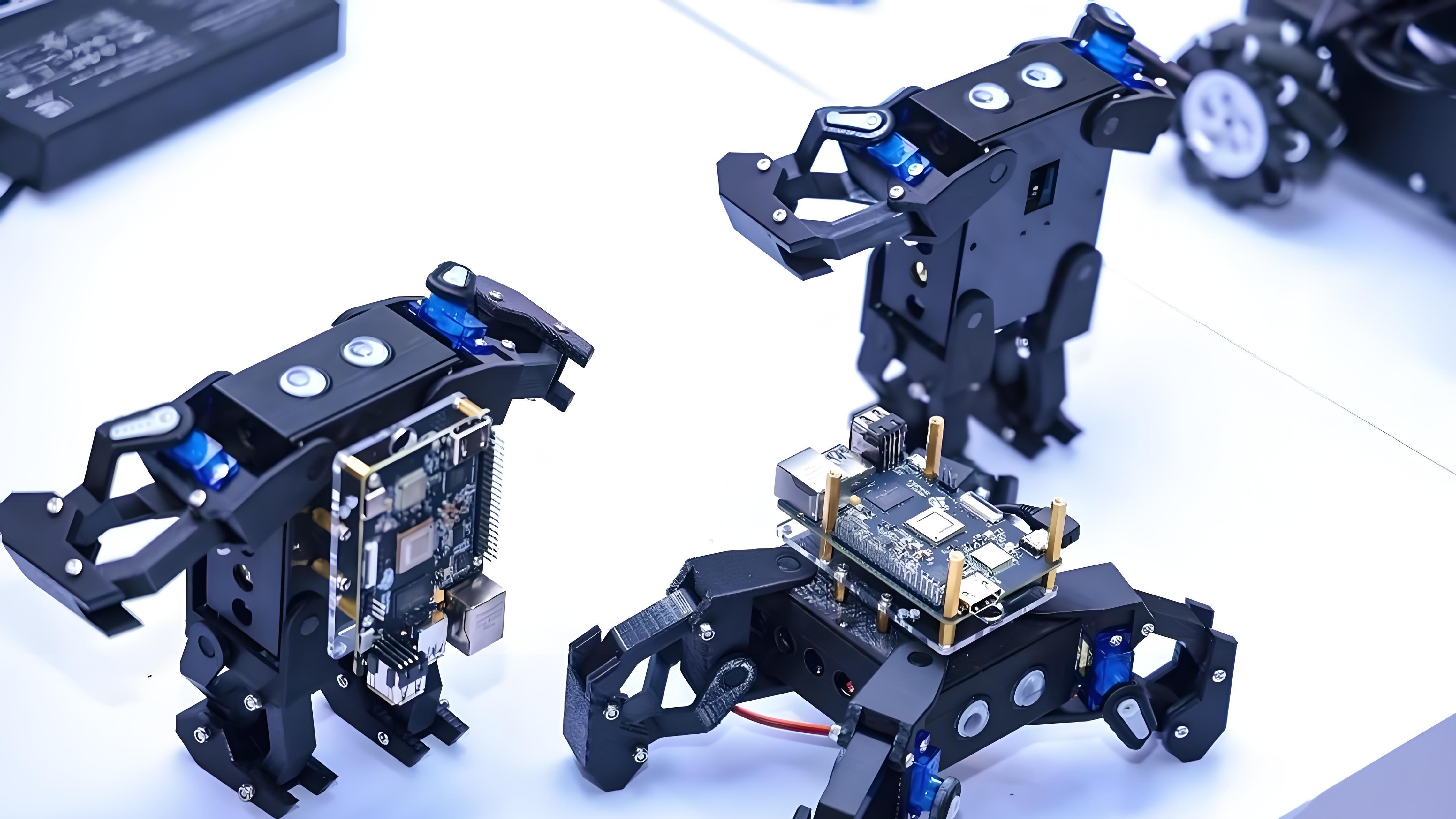 地平线出发：我是地瓜