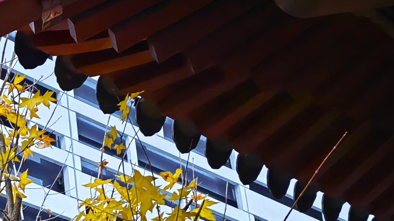 所谓托举，量力而行