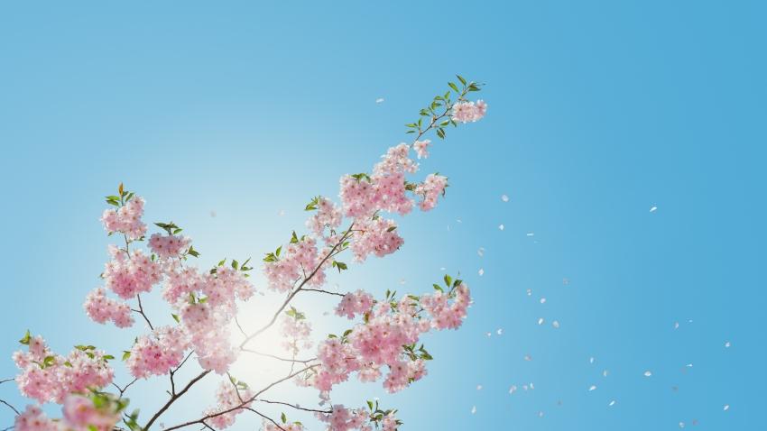 解锁79级套装秘境：三端互通传奇手游下载全攻略