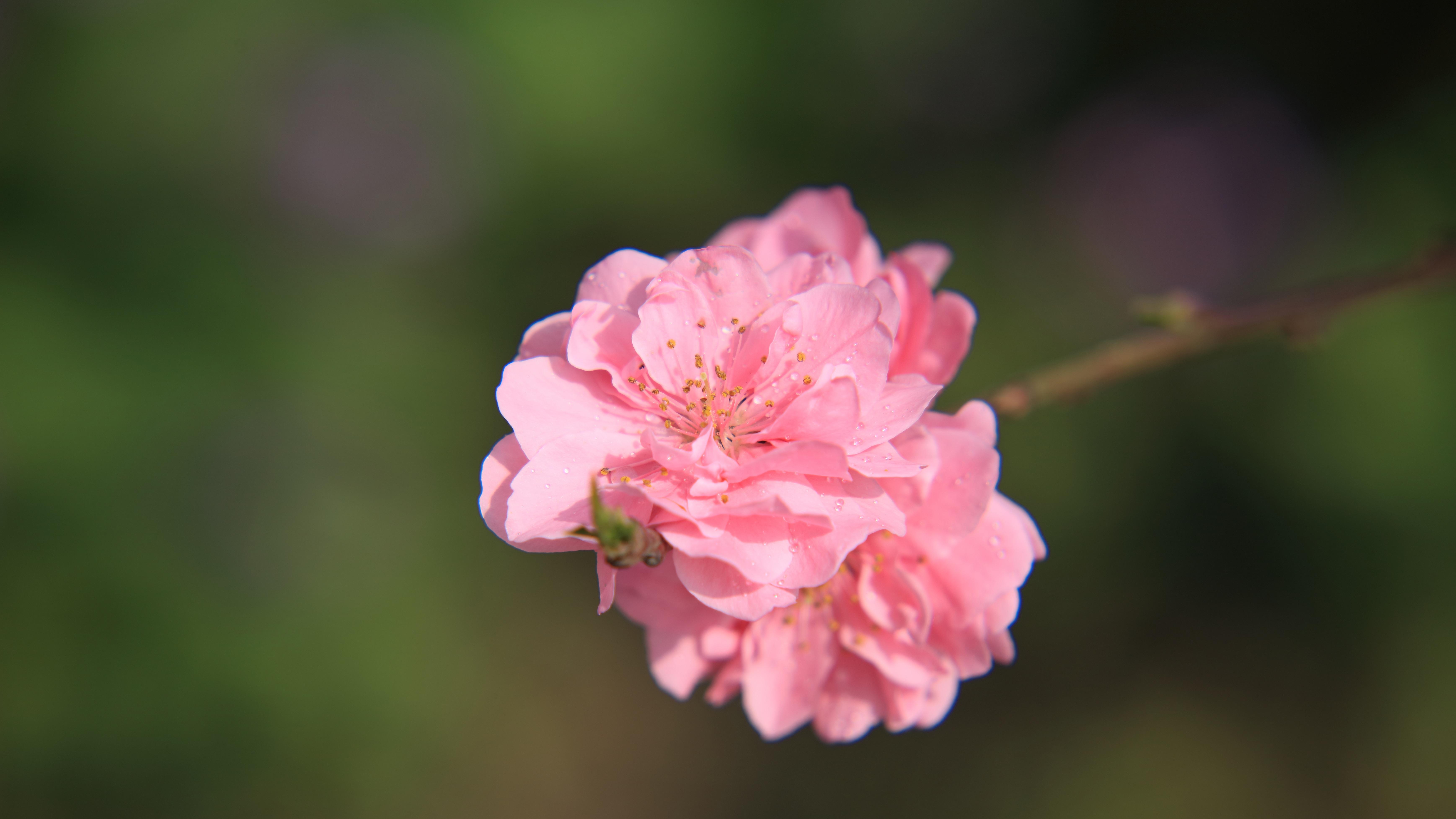 自律，真的不是苦行僧