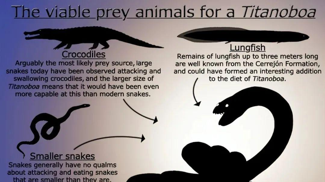 地球史前高烧竟孵出15米巨蛇？气候异变是如何养出巨物的？