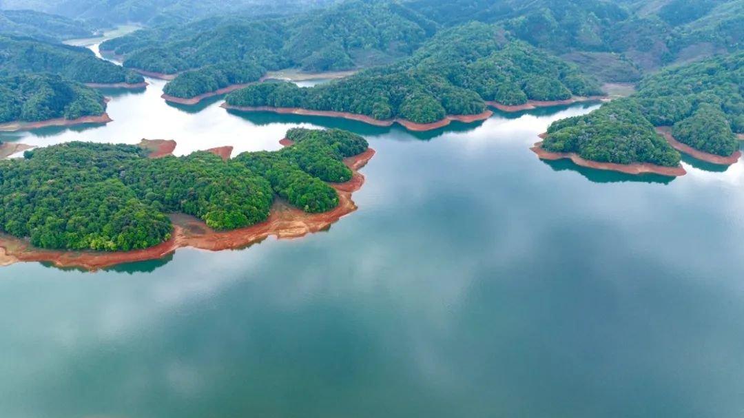 仅成立六天的公司，竟能投标成功江西第三大水库的经营权！