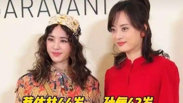 孙俪蔡依林罕见同框！两大靓丽女神魅力不可小觑