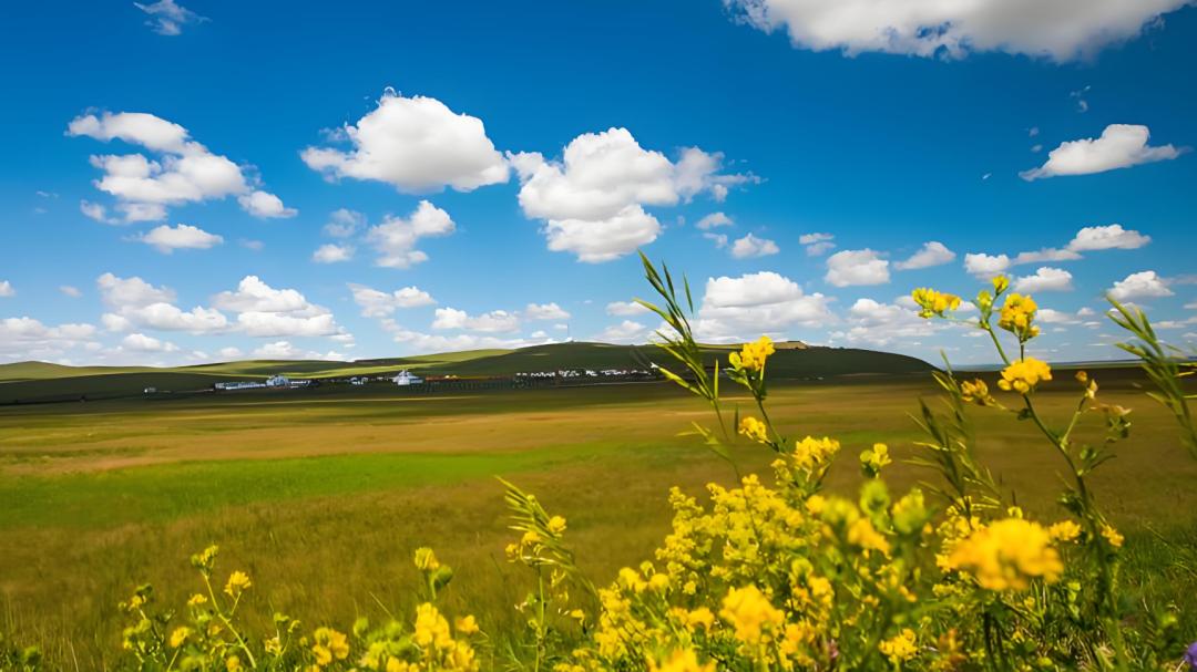 抓住生理本能：好奇、恐惧、贪婪