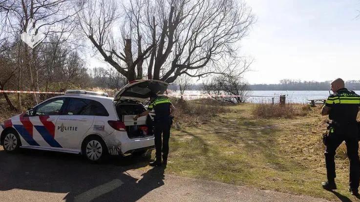 荷兰湖畔，清华才子，一个未解的谜：罗生门，你去了哪里？