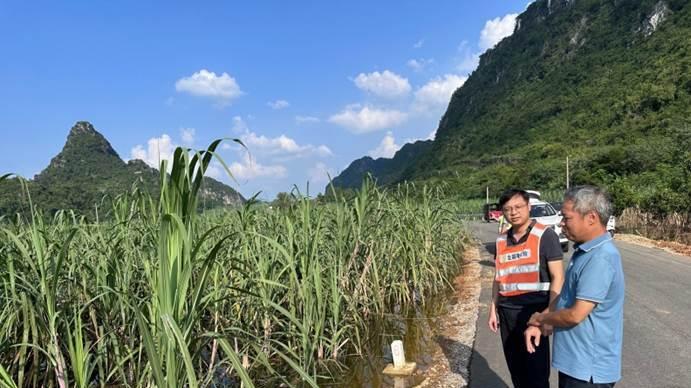 闻风而动快赔护农，北部湾保险高效应对台风灾情