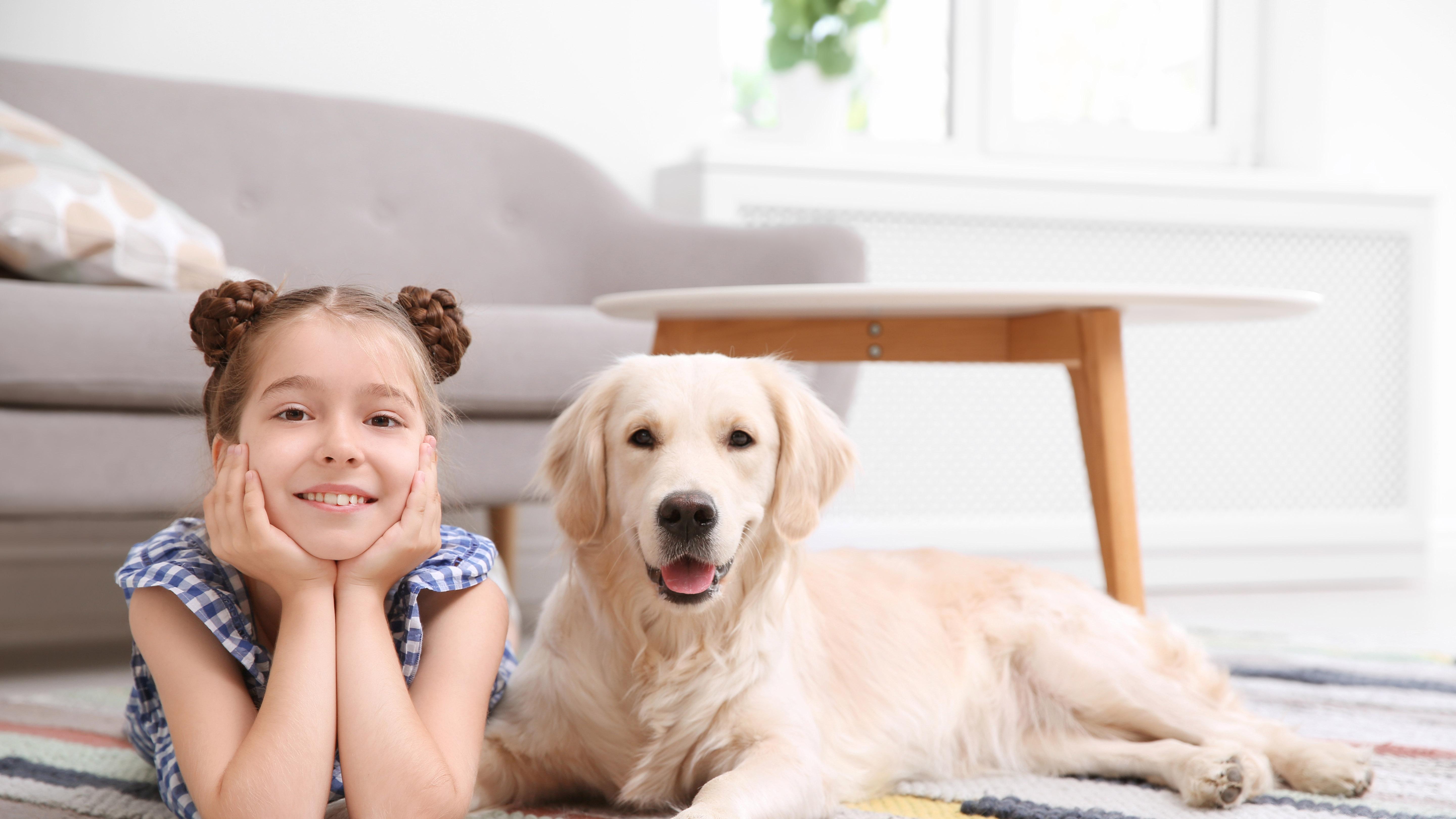 宠物养老的 “科技性价比”：1份投入，3倍陪伴