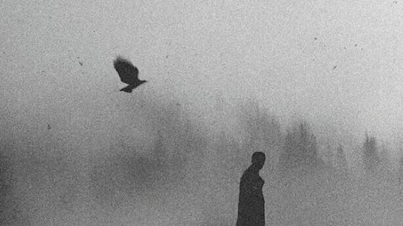 2025年，舔狗经济真的崩盘了吗？