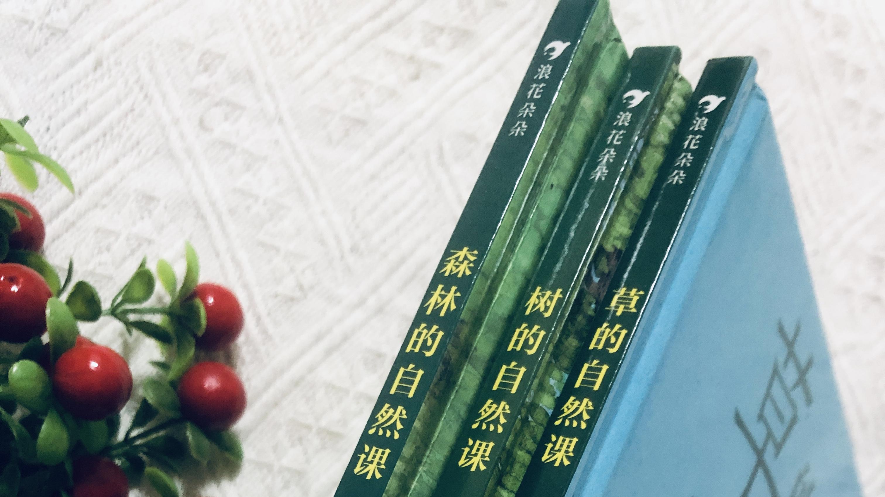 20+适合小学生，低成本高价值的自然体验活动，好玩又涨知识