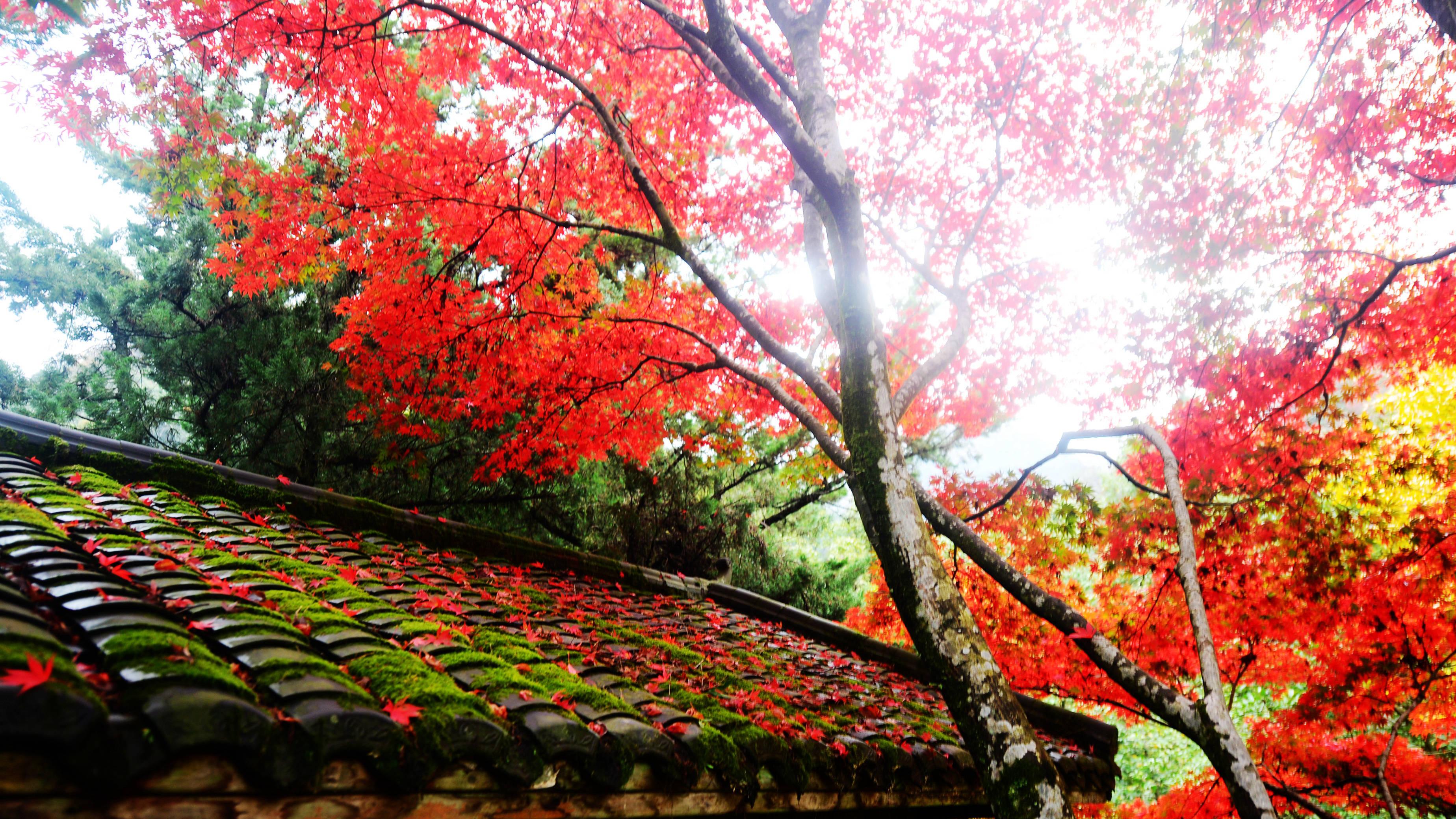 创业中的“团队管理心理”，如何适配职场中的“向上/向下沟通”